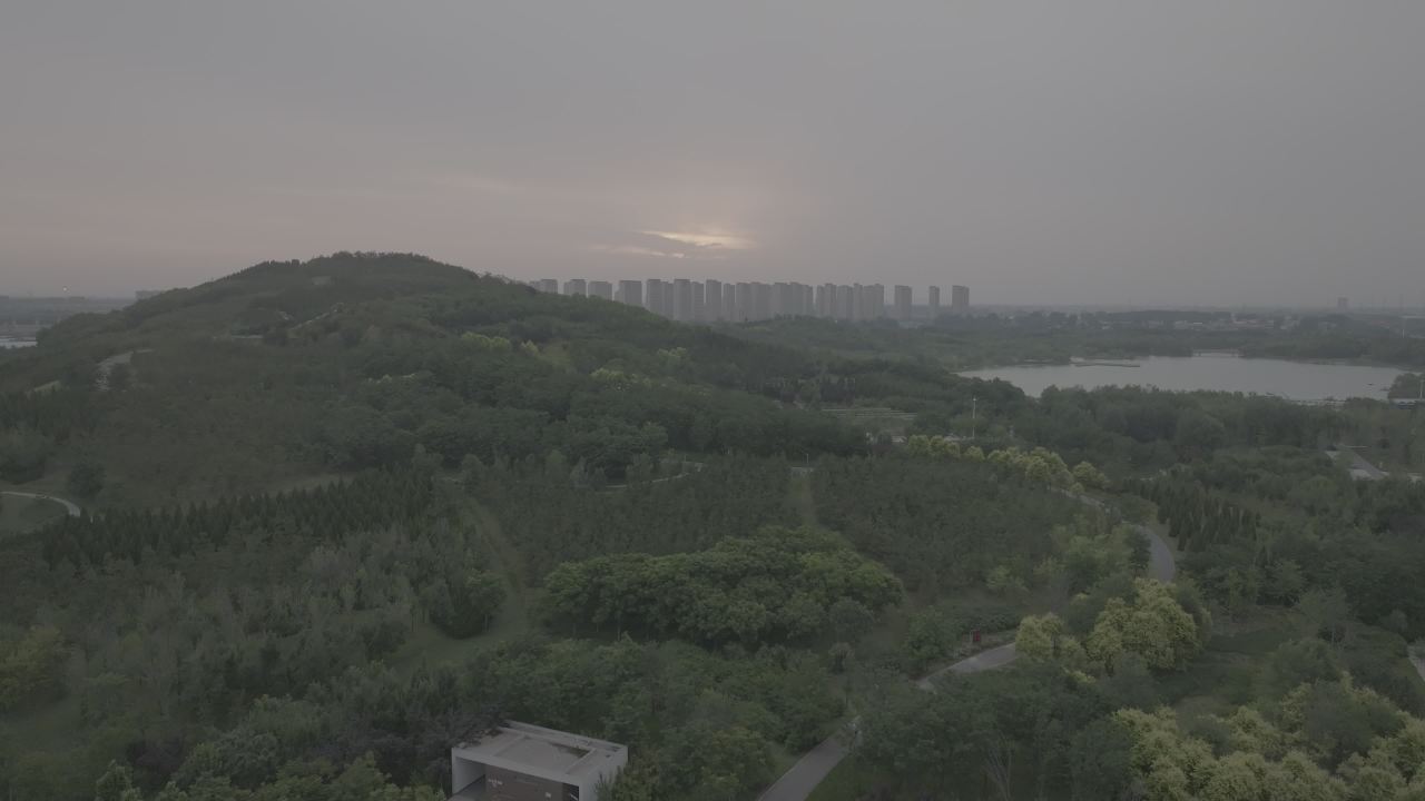 森林与城市的黄昏交响