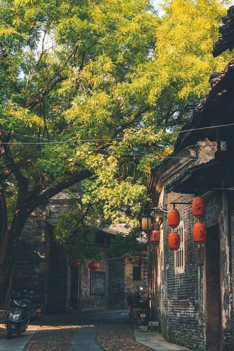 风吹