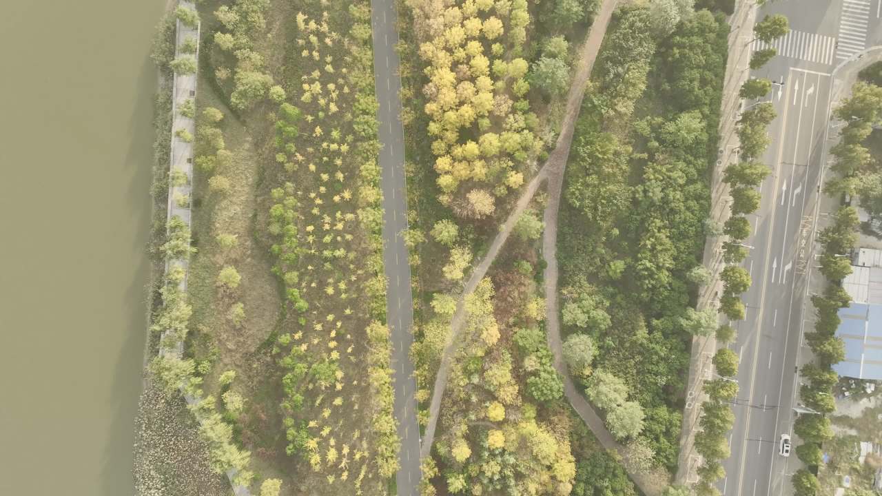 秋日森林航拍
