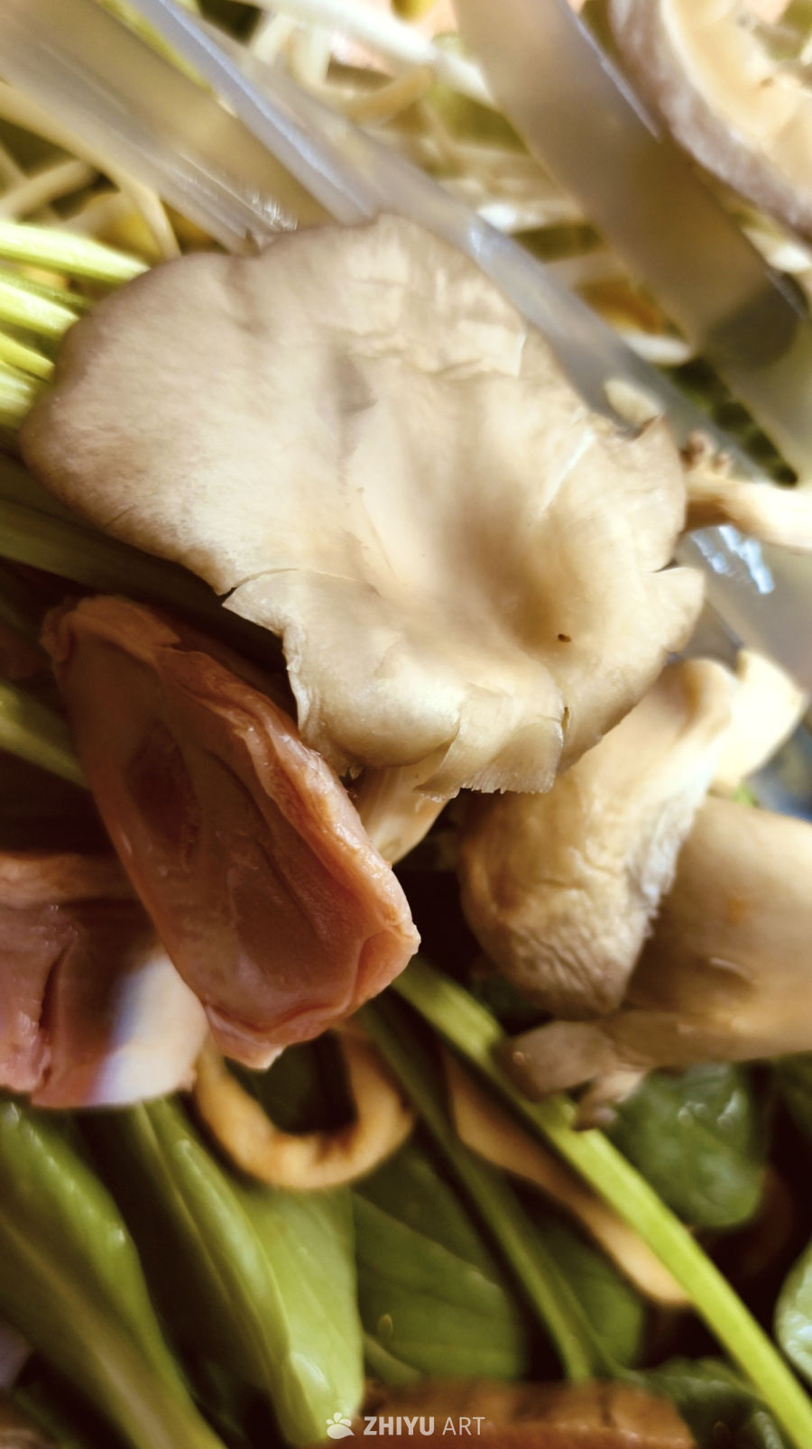 新鲜食材拼盘