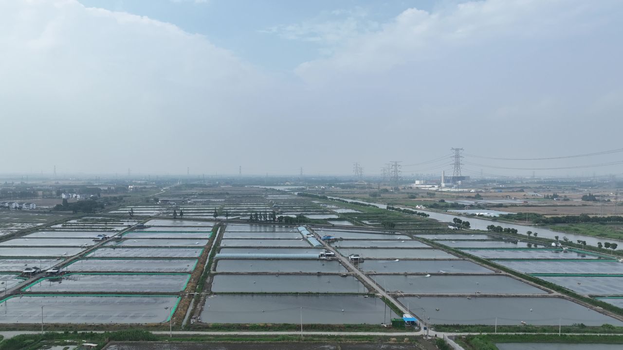 4K航拍高标准鱼塘