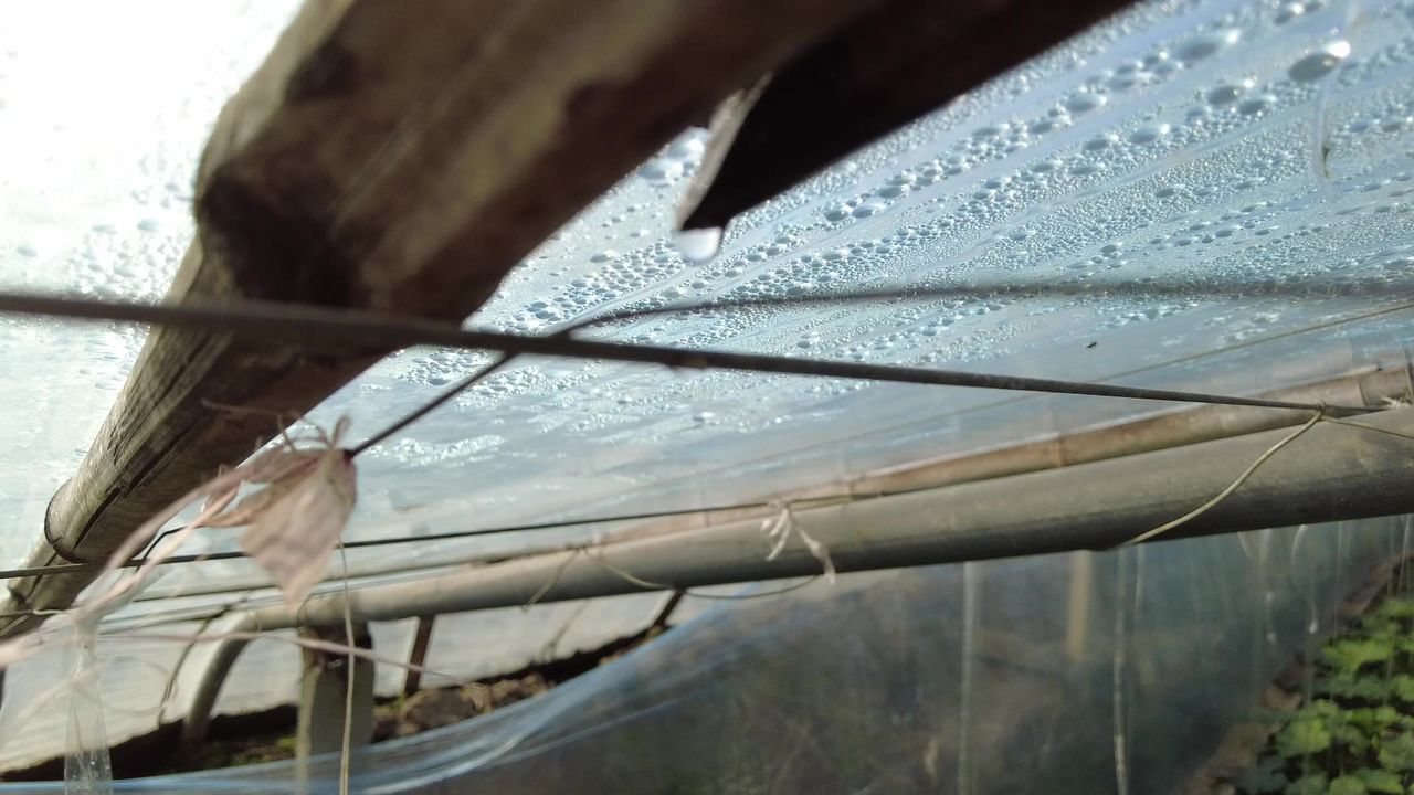 三农农村蔬菜大棚工作生活实拍素材