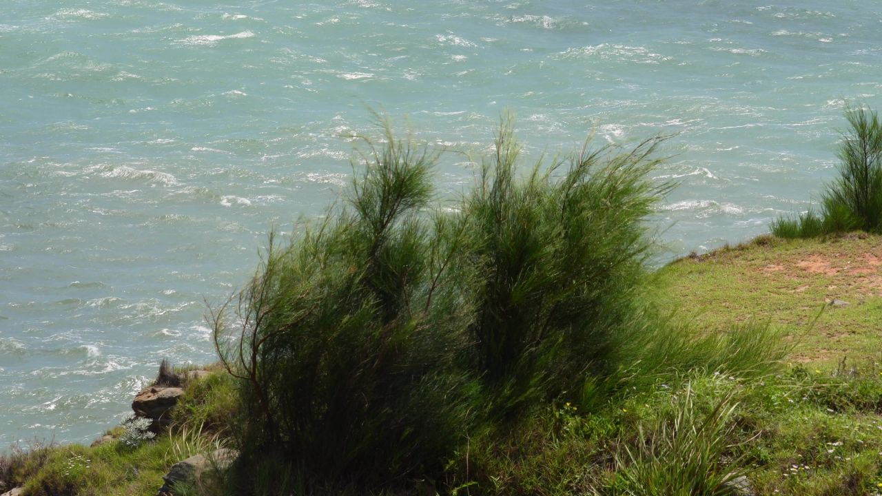 海风吹