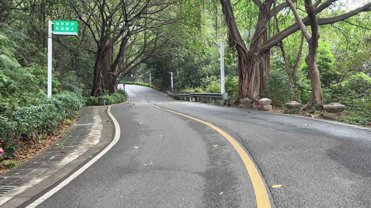 自然风景