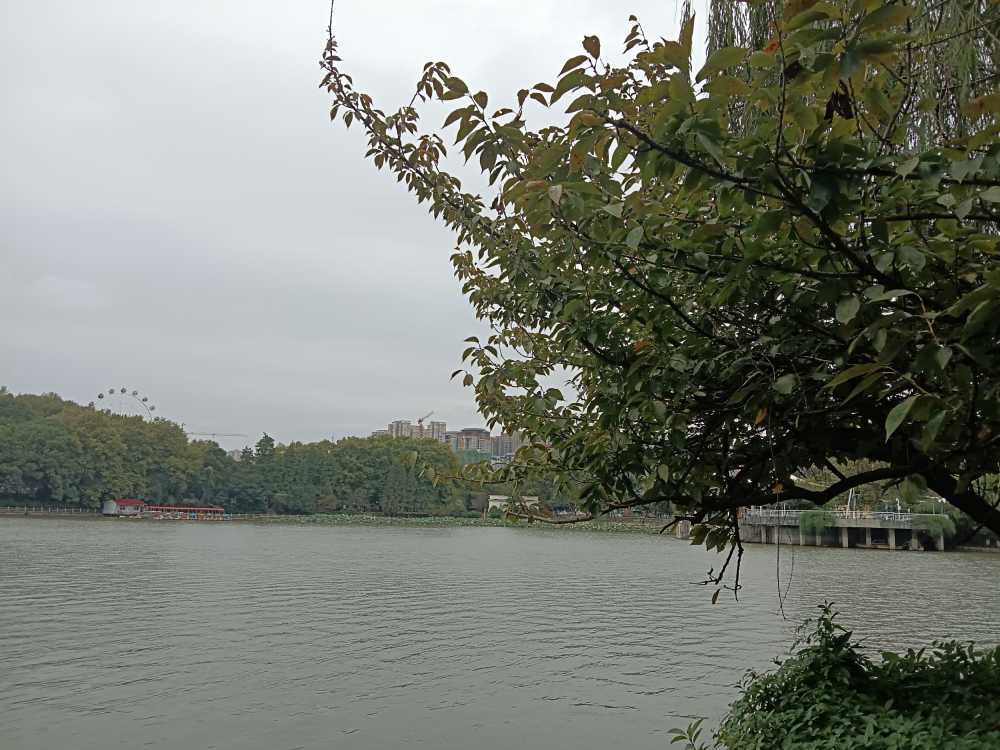 风景