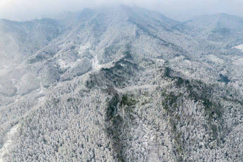 冬天雪景 