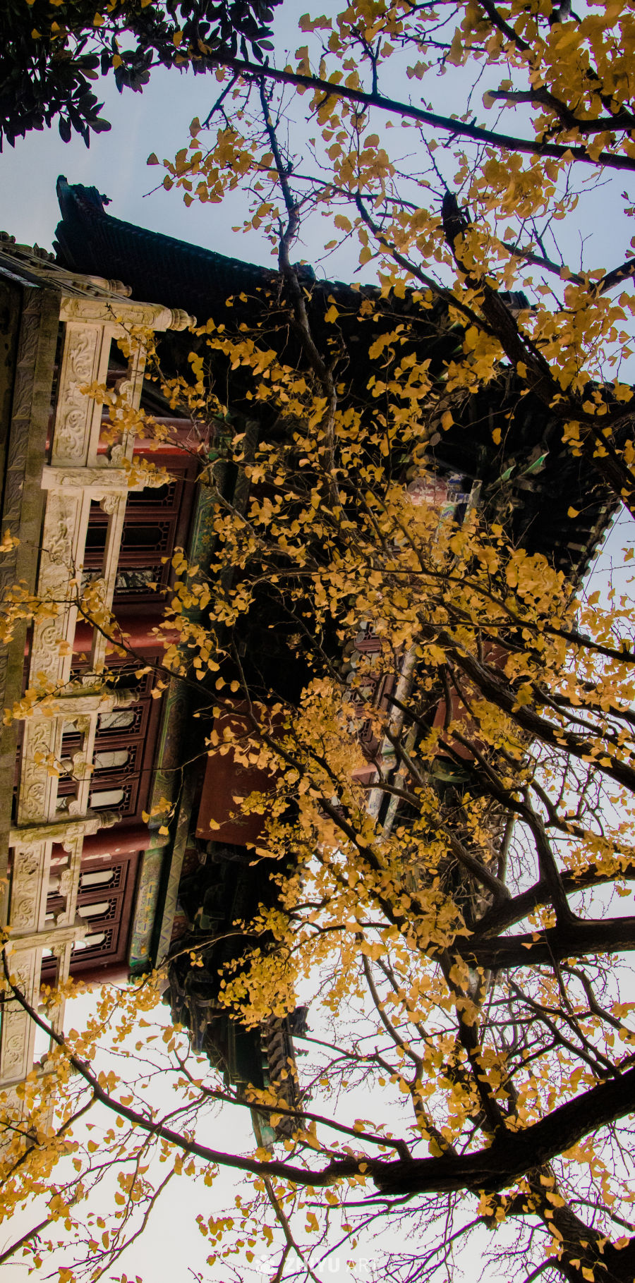 抓住秋天的尾巴