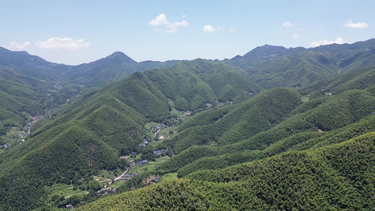 航拍南岳衡山5A景区竹林 