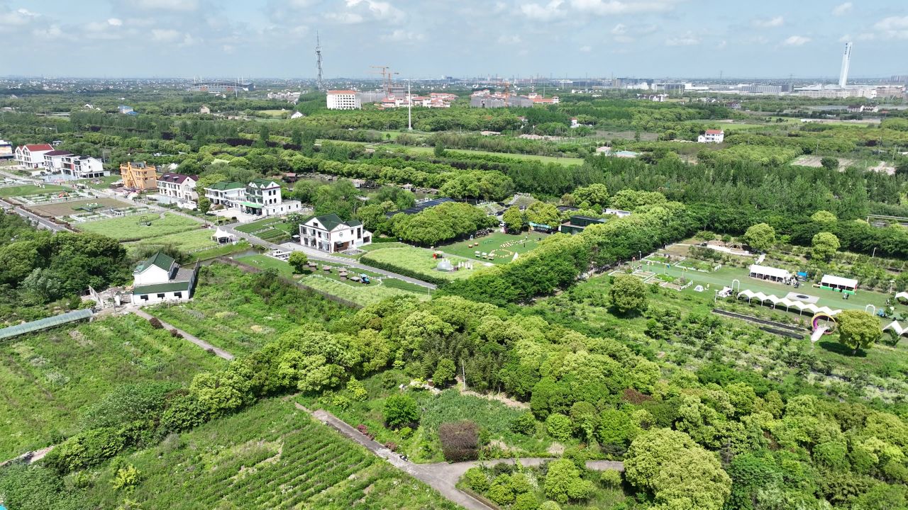 4K航拍上海金山区山阳田园 3