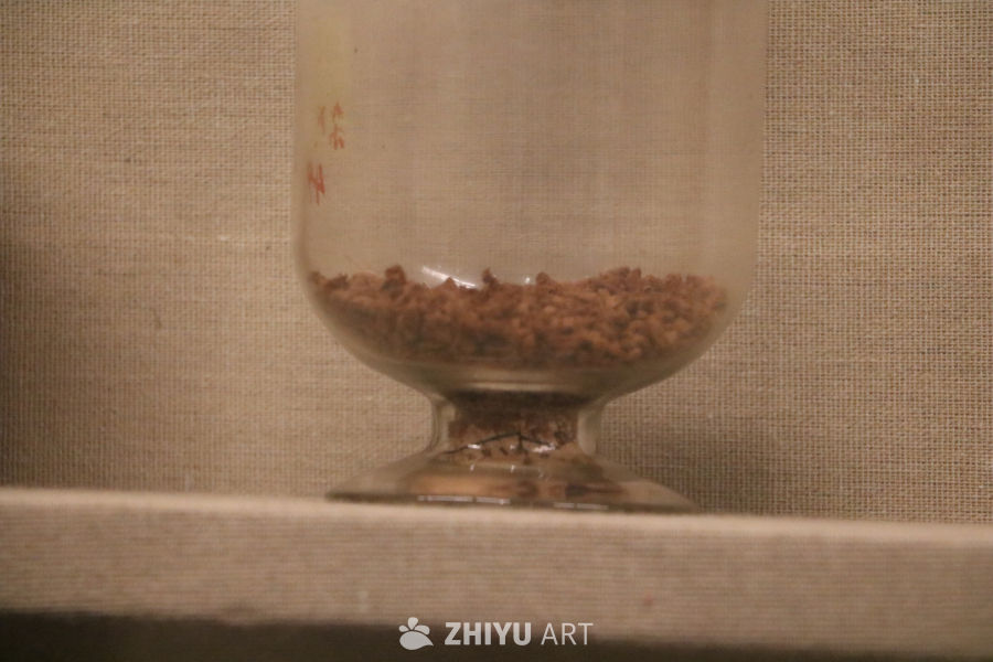 玻璃瓶中的棕色颗粒