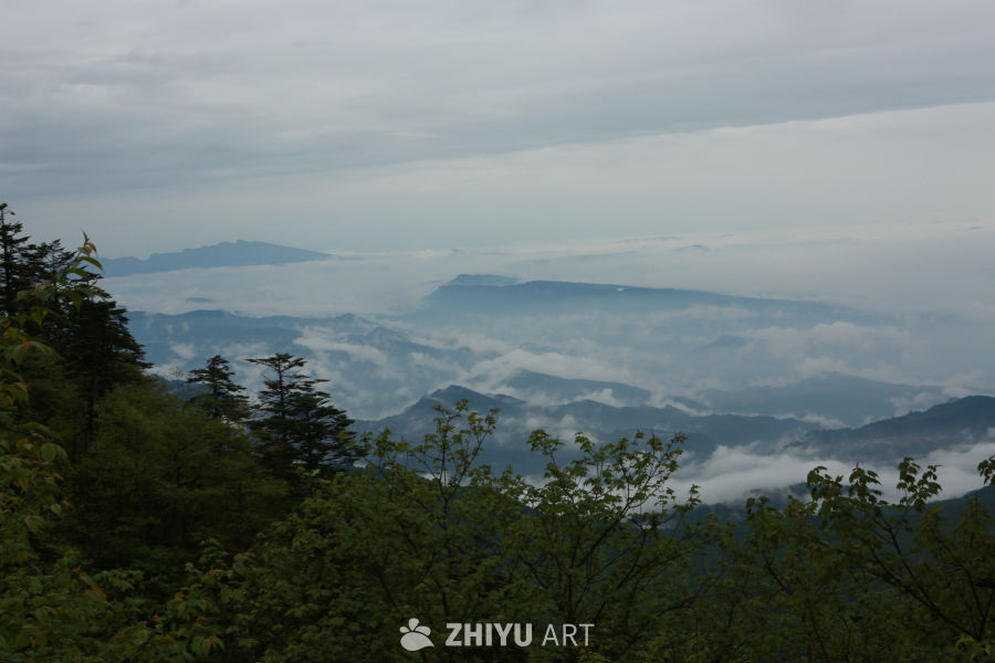 云海山景