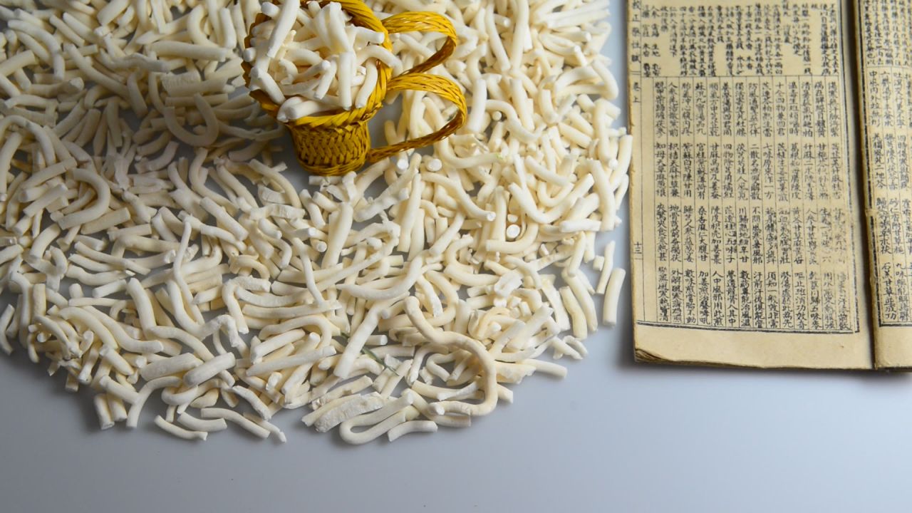 绣球小通草 21