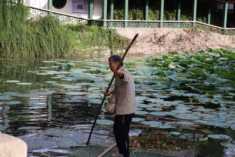 春游随拍1 12