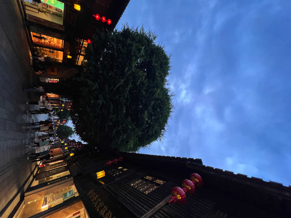 福州爱心树