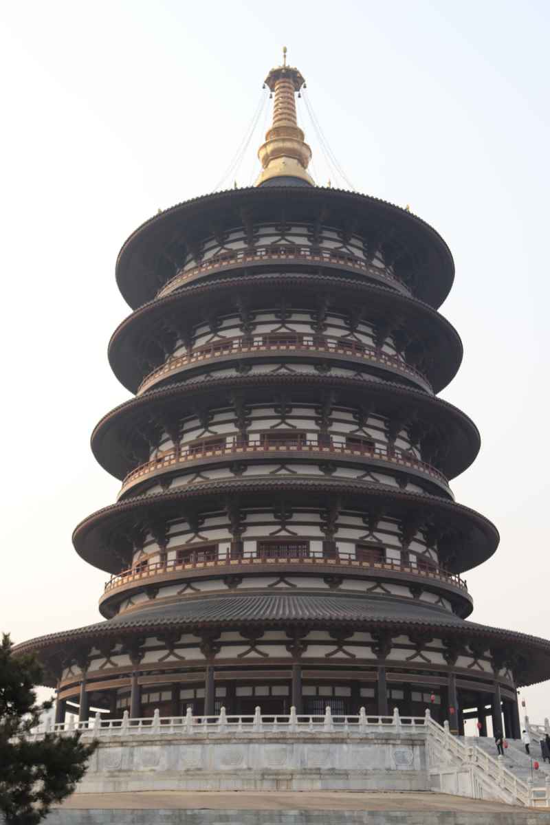 洛阳随拍 49