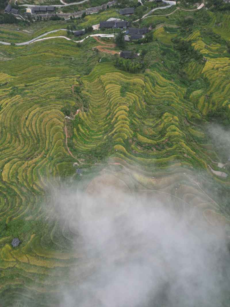 山背梯田