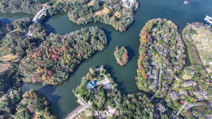 航拍水边枫叶美景  初冬枫叶似火 30
