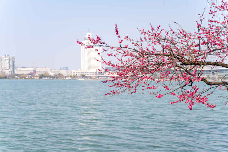 南京玄武湖公园 4