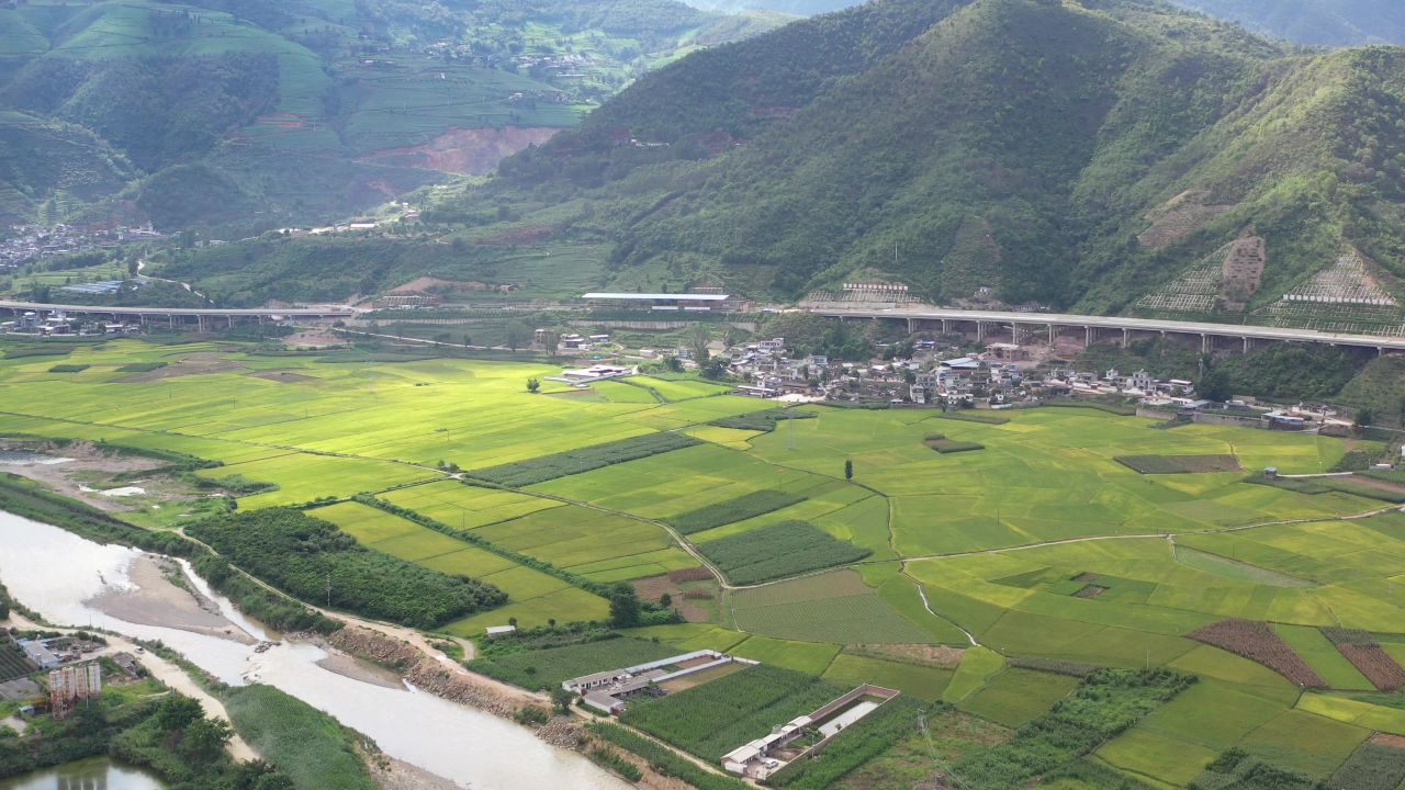 城市、稻田 21
