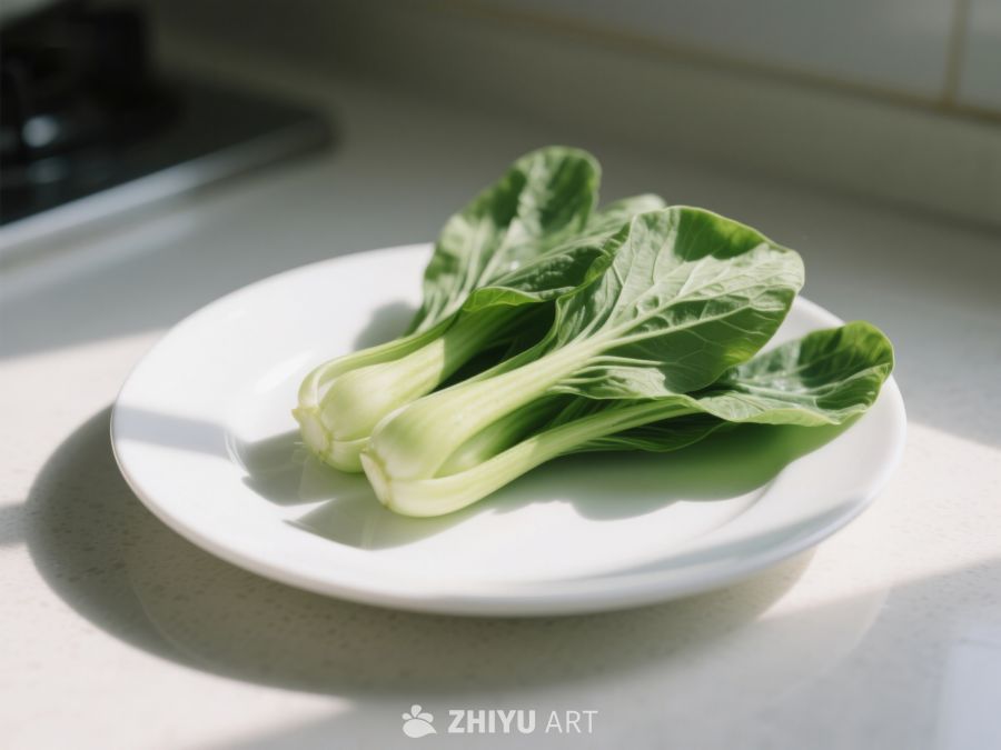 青菜置于白色盘中，阳光照射 308