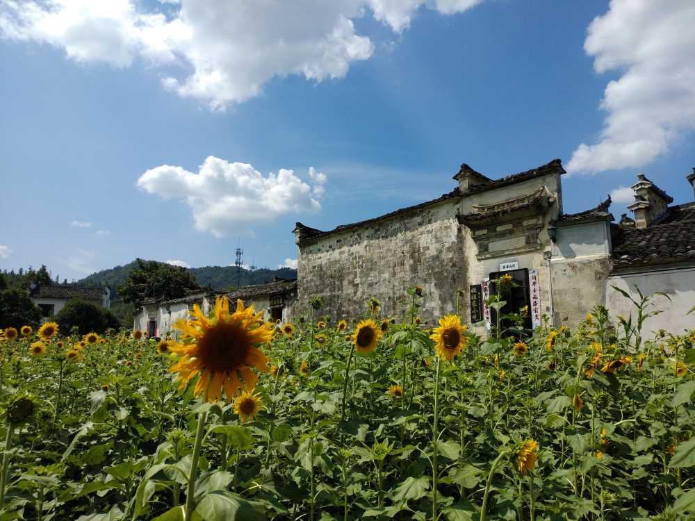 安徽西递景区