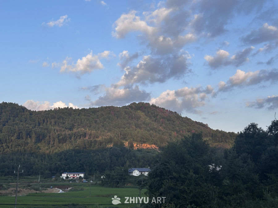 路上的风景