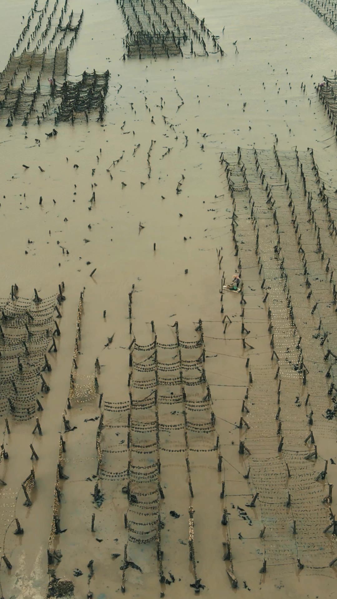 大海海浪沙滩风景竖屏航拍 