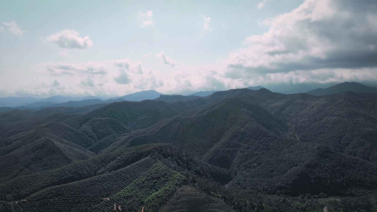 广西上思县十万大山 5