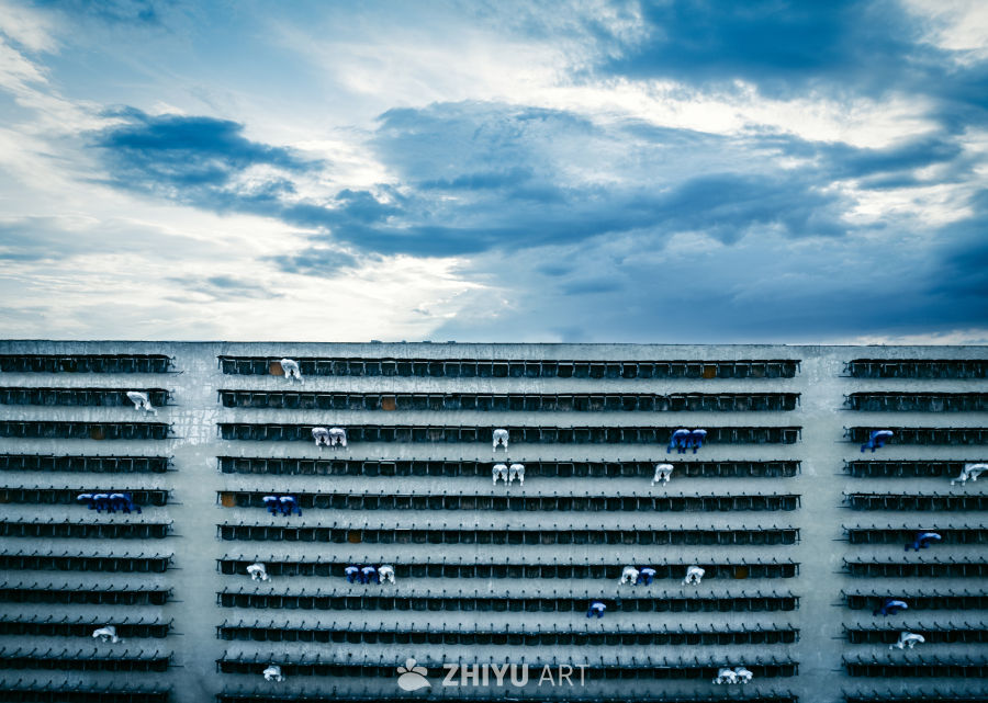 城市的天空