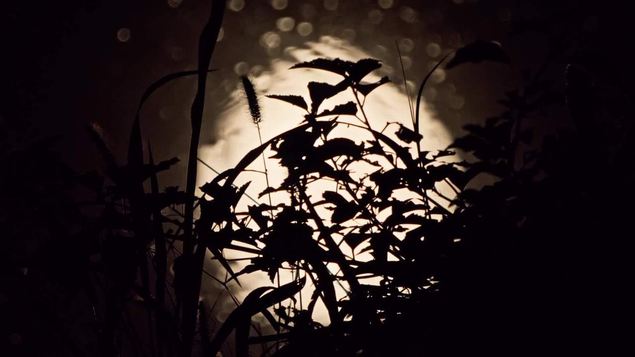 深夜玩天空月亮月球皎洁明月中秋满月 13