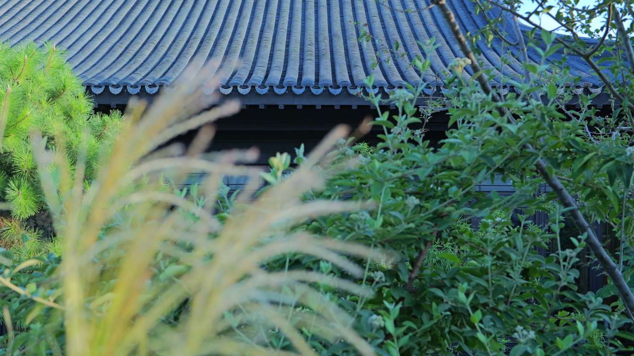 中式建筑空镜头
