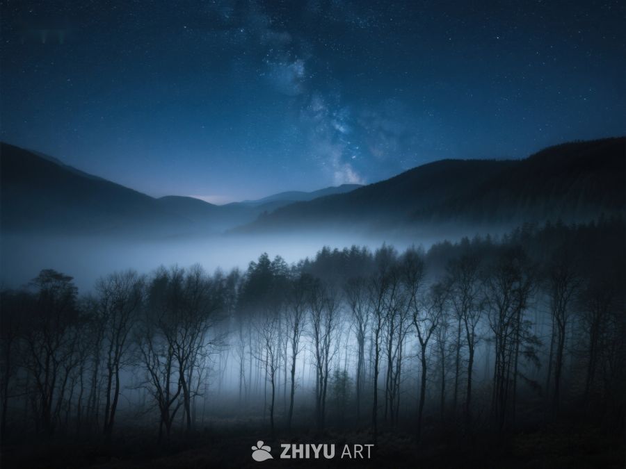 夜幕下的森林与银河 507