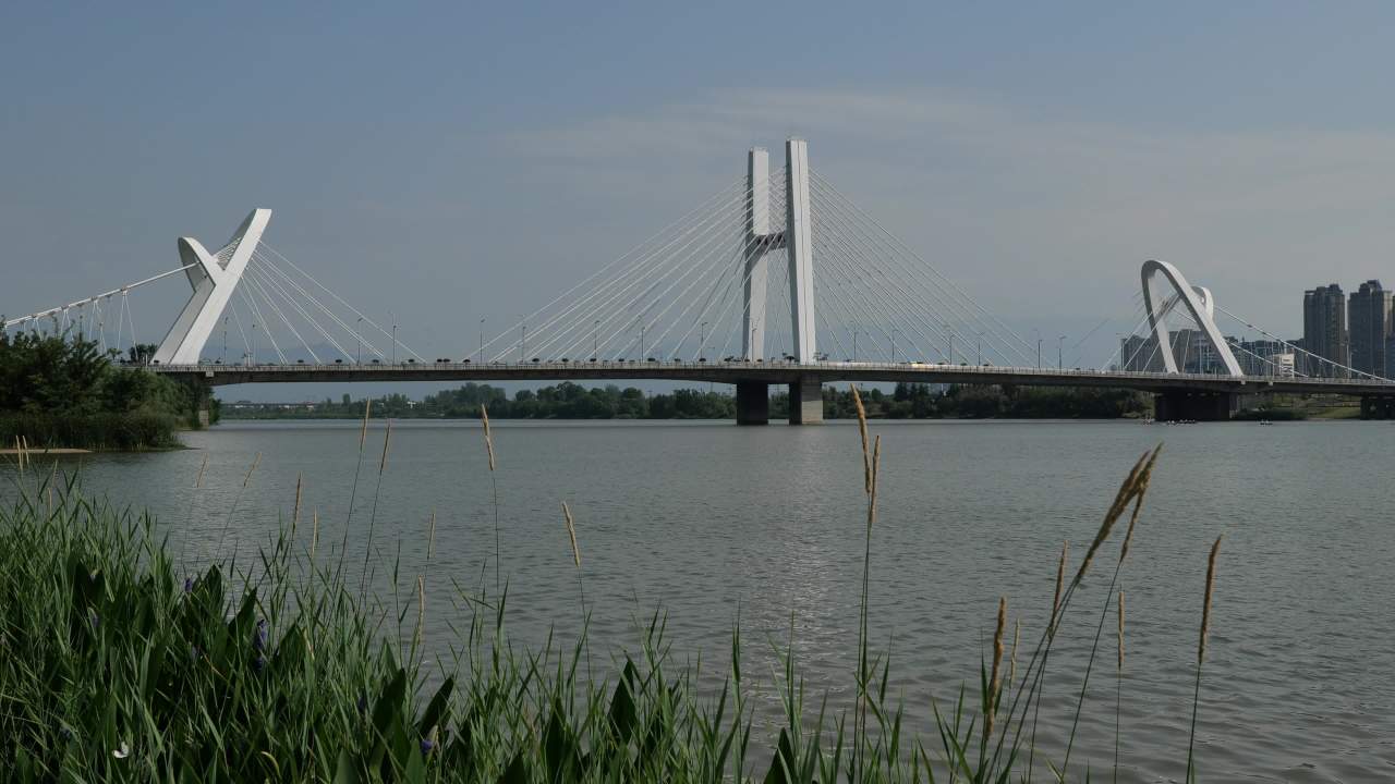 湿地公园一角 5
