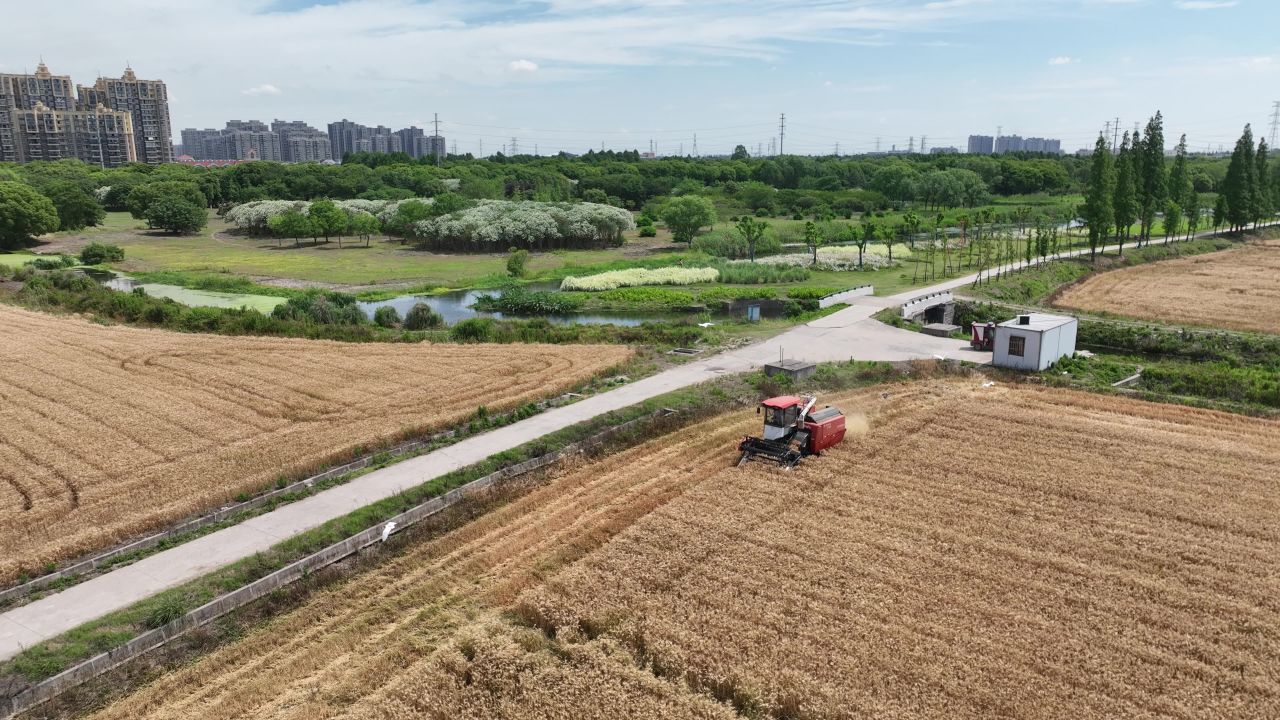 4K航拍昆山农业夏收 55