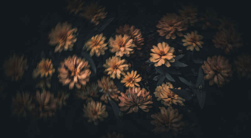 繁花