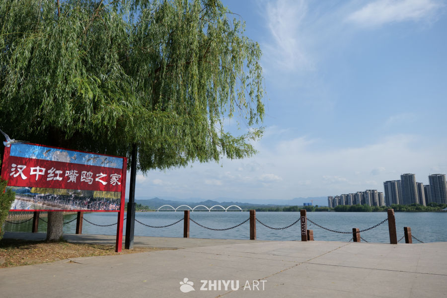 江边美景 1