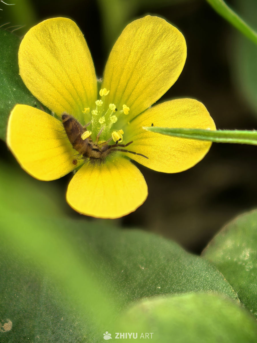 我的世界大于这世界