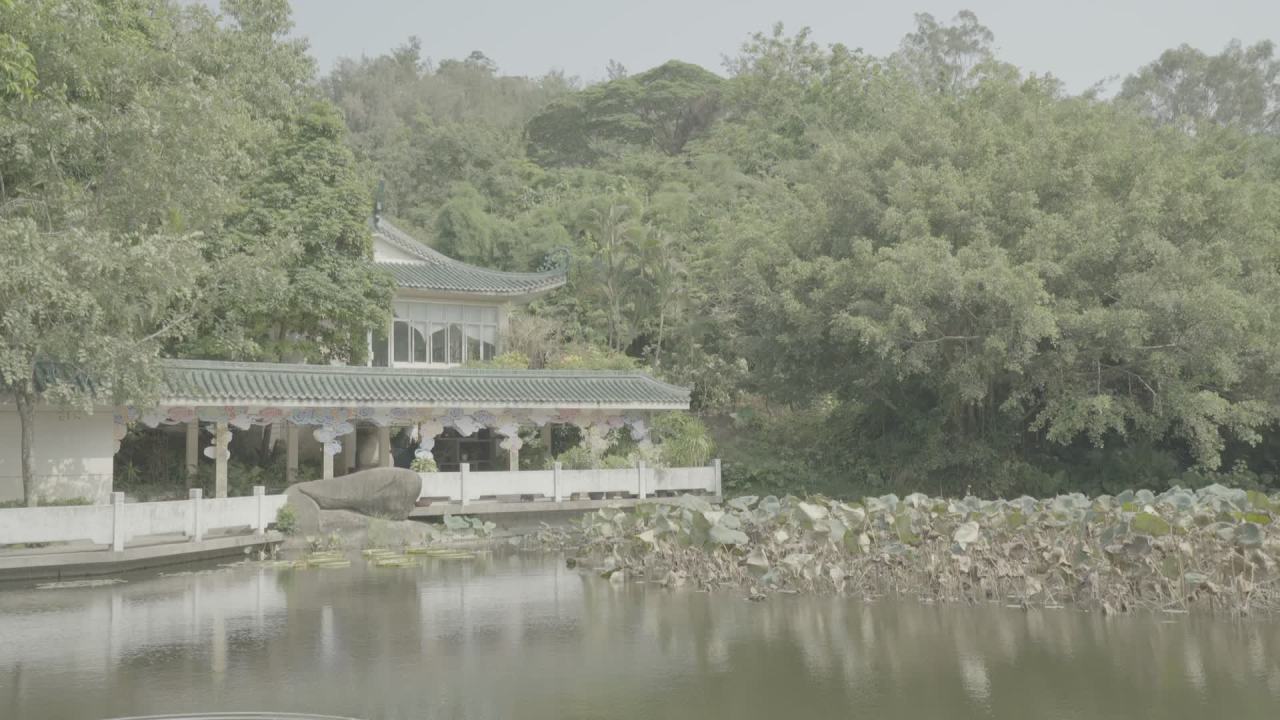 厦门植物园景色