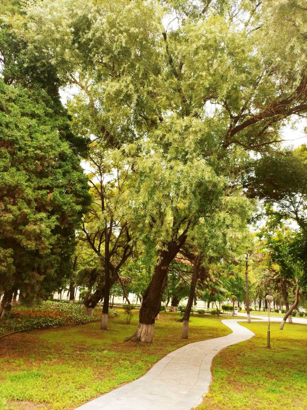 东北大学风景