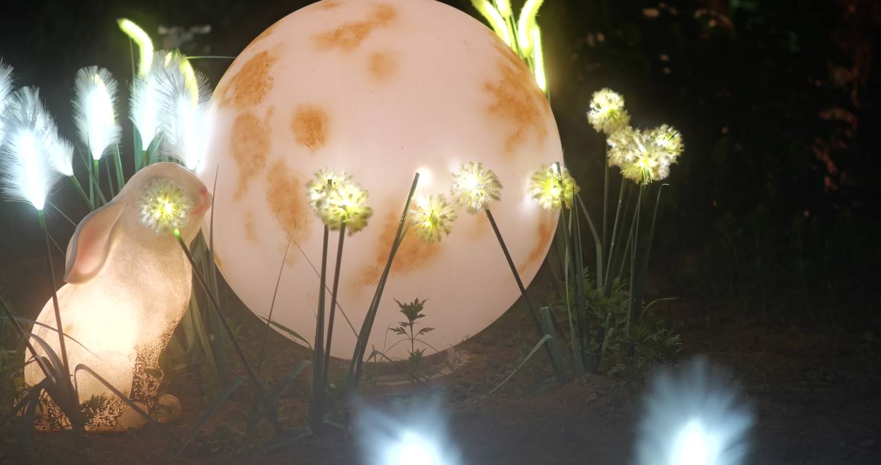月夜花影