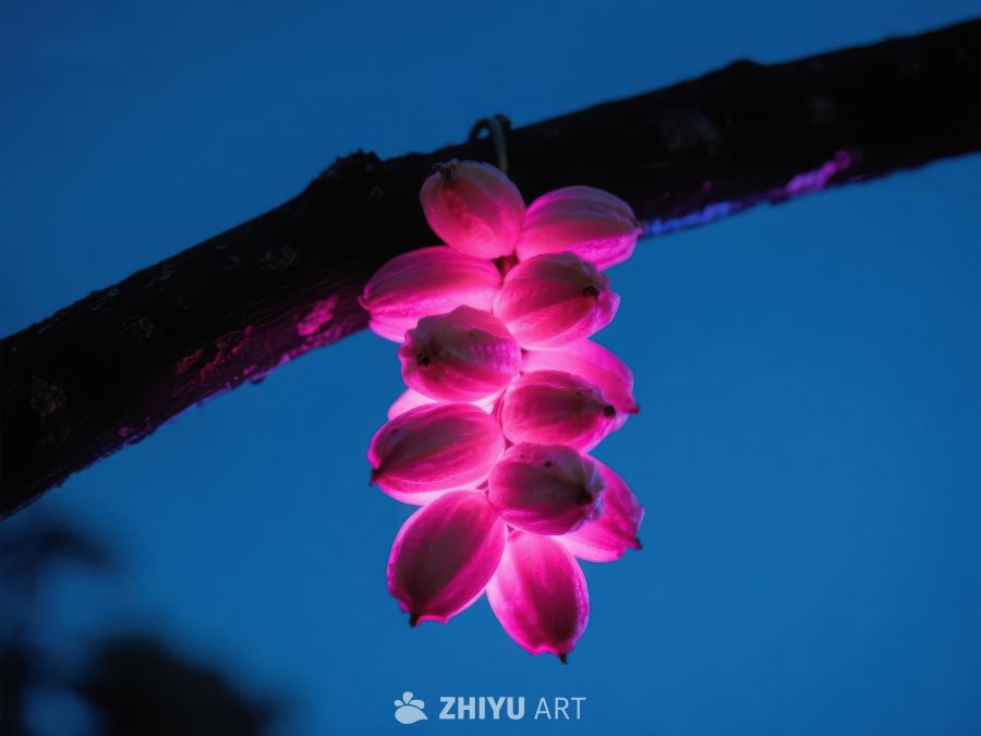 夜幕下的粉红花朵 800