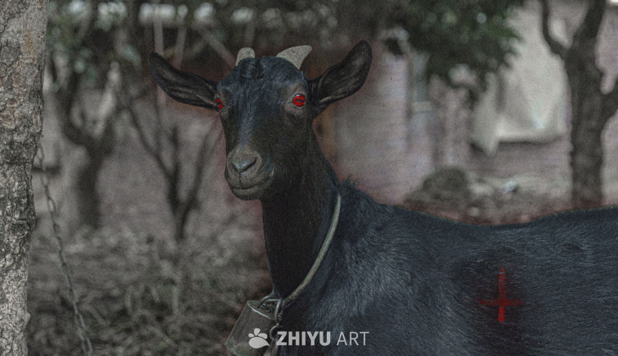 神秘黑山羊