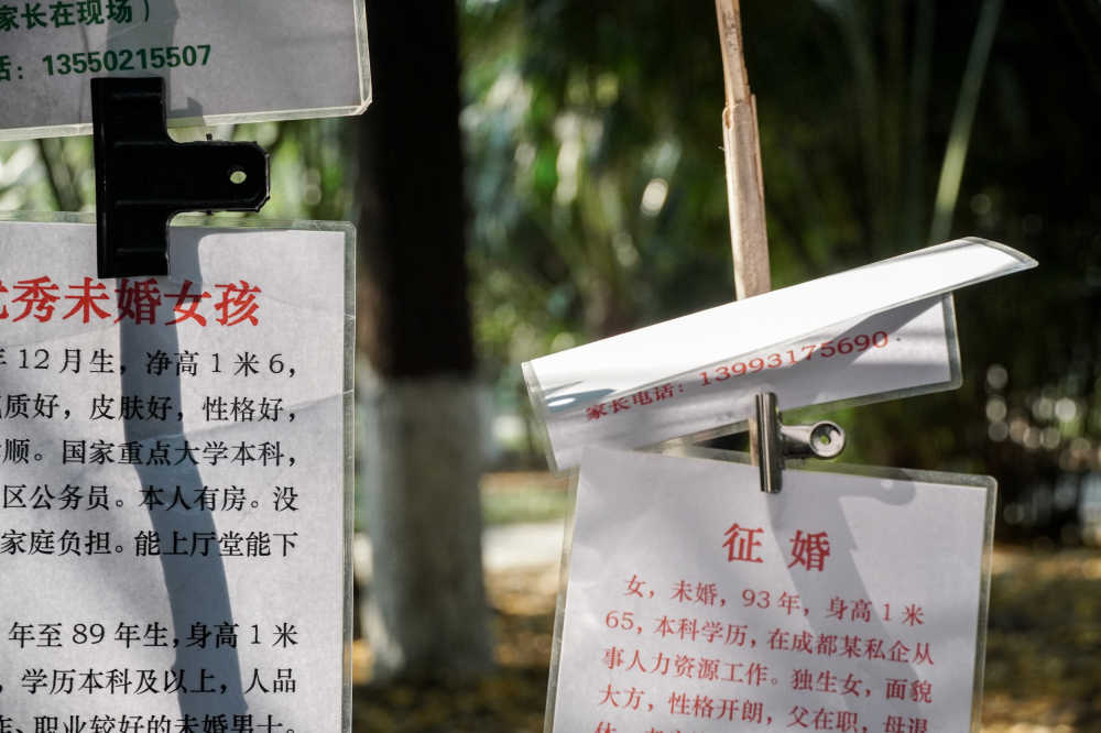 飘落征婚