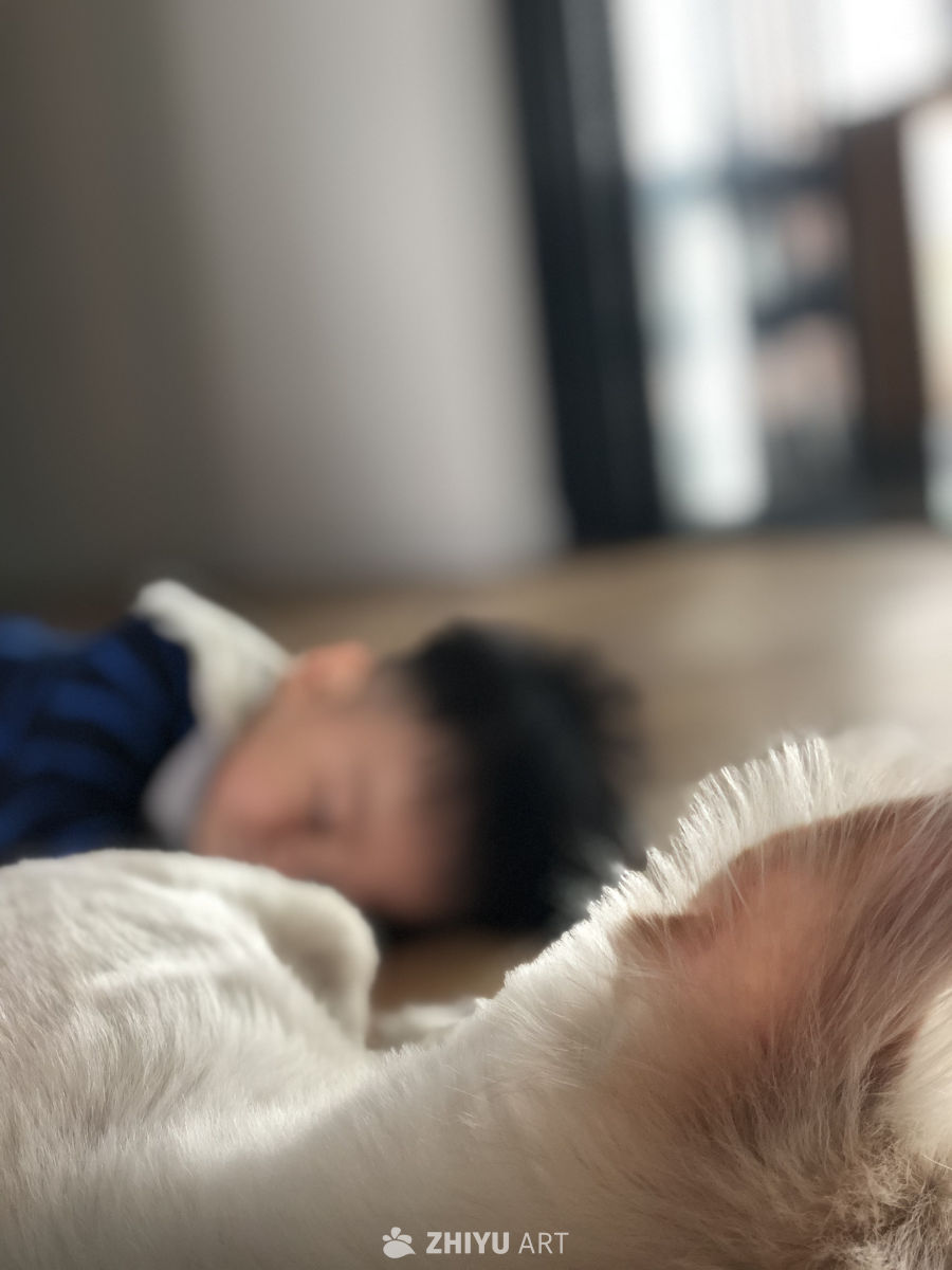 亲子时光：孩子与宠物的甜蜜时光