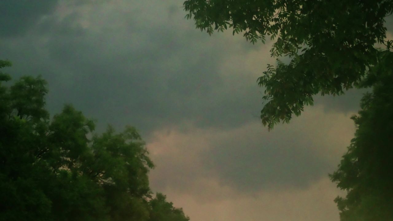 雷雨天气透过树叶天空电闪雷鸣