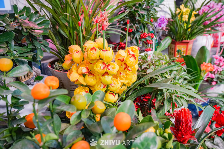 新春花店里的美好 38