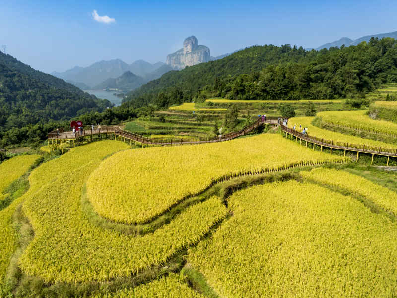 金秋十月 “丰”景如画 4