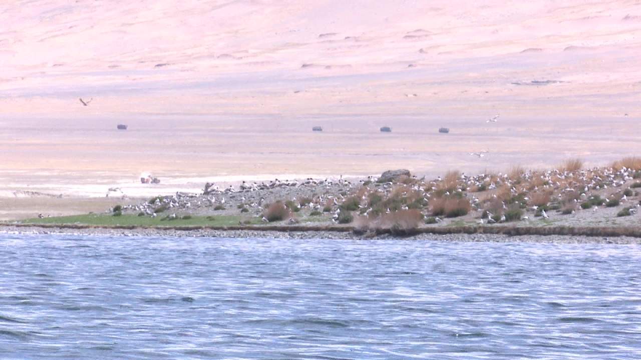西藏风景