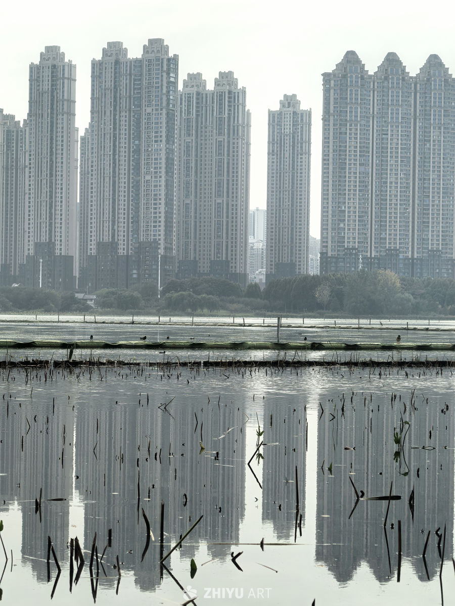 相逢意气为君饮，系马高楼垂柳边