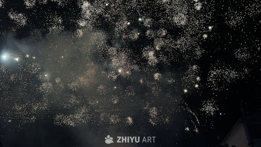 璀璨夜空的烟花